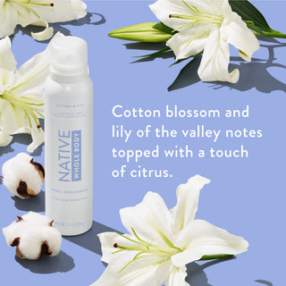 Flat-lay of Native Whole Body Deodorant with cotton flowers and white lilies on beige blue