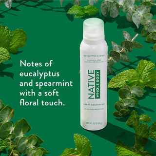 Flat-lay of Native Whole Body Deodorant with eucalyptus and mint leaves on green background