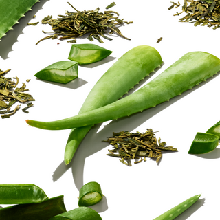 Arrangement of aloe vera leaves and green tea