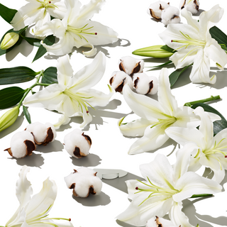 Arrangement of cotton flowers and white lilies