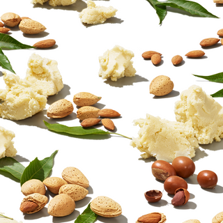 Arrangement of shea butter, almonds, and various nuts