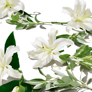 Arrangment of vanilla Flowers