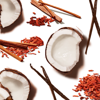 Vanilla pods, coconut halves, and sandal wood sticks arranged